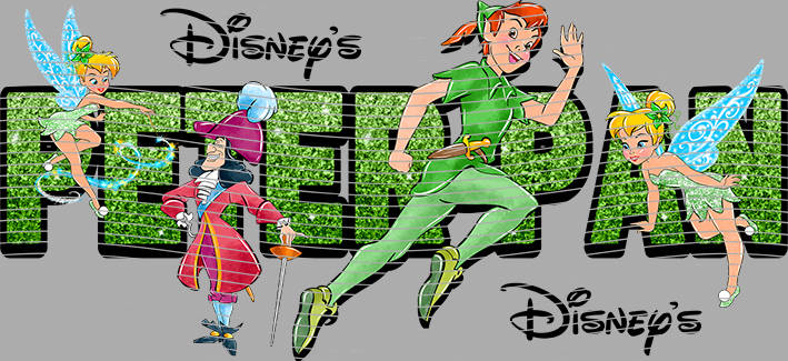 16oz Disney style-D-1895